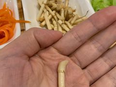 -丝恋丝娃娃(金阳国贸店)