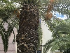 -厦门悦华酒店