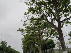-平潭岛•仙人井