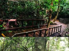 -七仙岭温泉国家森林公园