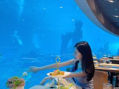 -涛·海底餐厅·美人鱼·自助餐·海底隧道(三亚海棠湾洲际度假酒店)