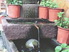 -茯茶镇