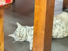 -老北京褡裢火烧·任记