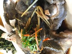 老虎斑-真浪花园海鲜餐馆