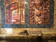 -北京美神宫艺术主题温泉酒店