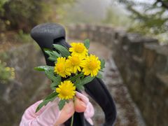 -轿顶山景区