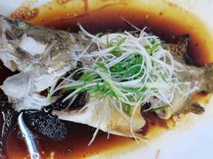 清蒸鱼-锦粤宫·精致粤菜(深圳北站店)
