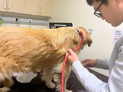 -美联众合动物医院·24h转诊中心