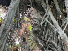 -龙达温泉生态城