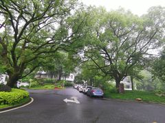 -杭州花家山庄