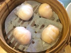 虾饺-添好运点心专门店(北角店)