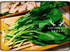 -尚尚仙·酸汤猪手·猪肚鸡火锅(华联万柳购物中心店)