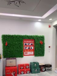 -莱可美科技美肤