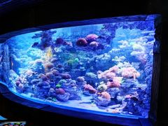 -太平洋海底世界