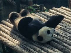 -大连森林动物园