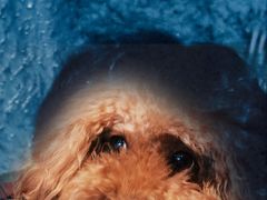 -E+有冰工厂·昆仑寒宫2(五角场店)