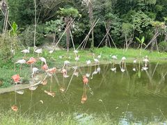 -杭州野生动物世界