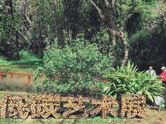 -云溪植物园