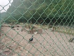 -南京金牛湖风景区