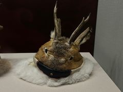 -大连自然博物馆