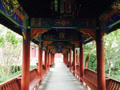 -丰都鬼城名山景区