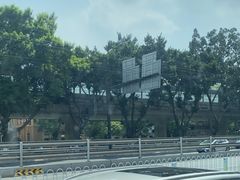 -清平中药材专业市场