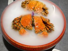 -吴越荣记·苏州菜·松鼠桂鱼(斜塘老街店)