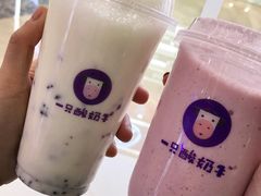 -一只酸奶牛(八一路店)