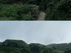 -枸杞岛