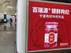 -银川河东国际机场