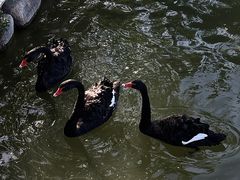 -春晖园度假酒店温泉