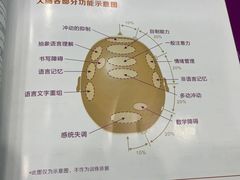 -竞思注意力·专注力·学习能力训练(天一广场中心)