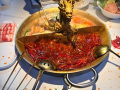 -小龙翻大江文化火锅(宽窄店)