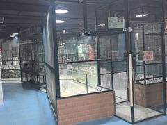 -上海大自然野生昆虫馆(东方明珠·爬宠昆虫探索中心)