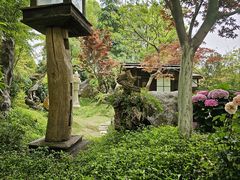 -上海鲜花港