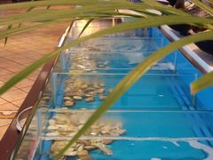 -火舞泰·泰式海鲜火锅餐厅(世纪城店)