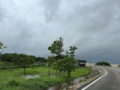 -芒洲湿地公园