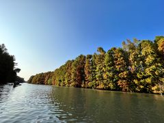 -上海海湾国家森林公园