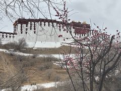 -宗角禄康公园