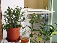 -BIRR COFFEE小熊咖啡(鸿瑞店)