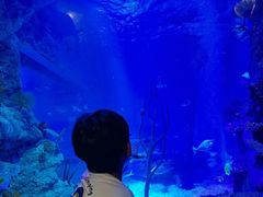 -沈阳海洋探索中心