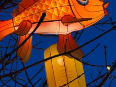 -龙湖星悦荟(颐和店)