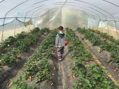 -白鹭湾湿地公园