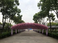 -南汇桃花村