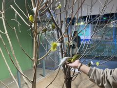 -上海昆虫博物馆