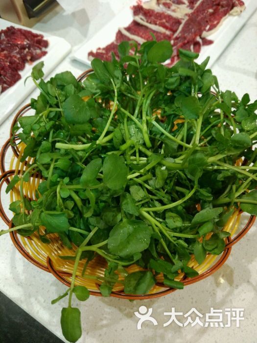 牛不同潮汕鲜牛肉火锅(双井店)西洋菜图片 - 第6127张