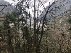 -宁波五龙潭景区