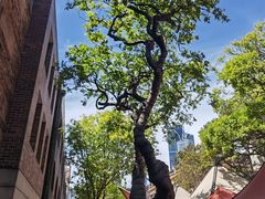 -Ribs & Burgers The Rocks