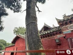 -七曲山风景区