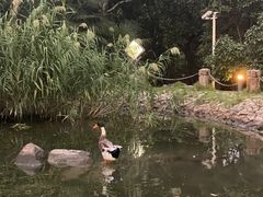 -新虹桥中心花园